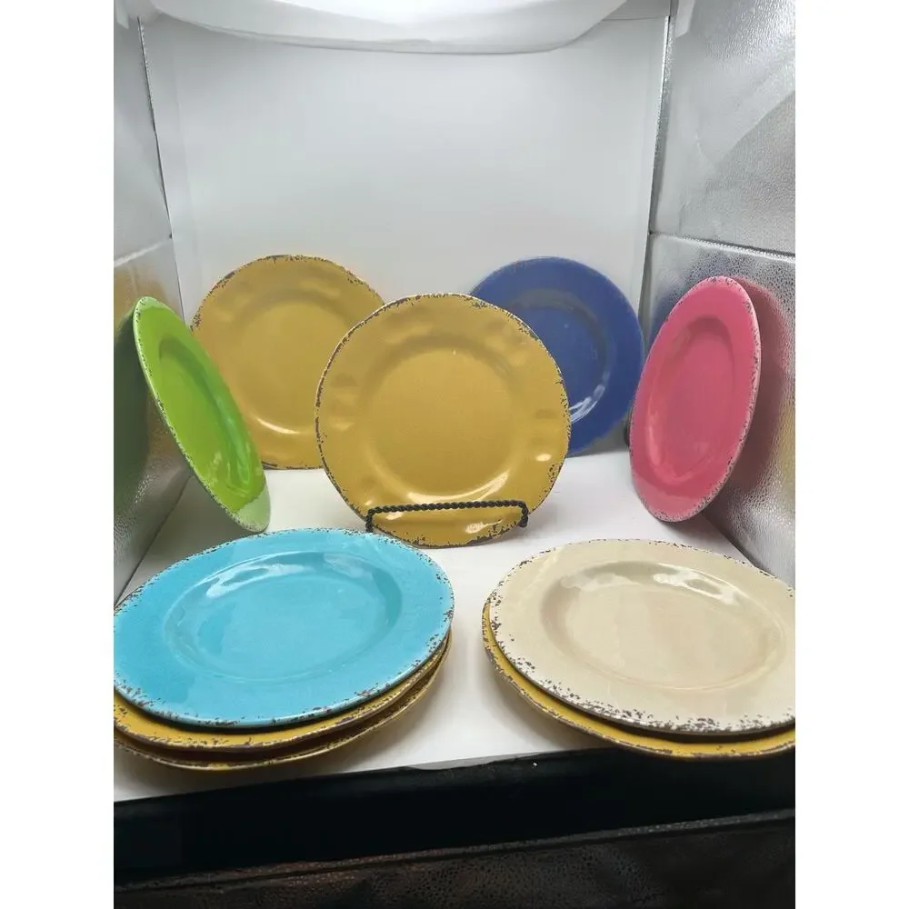 Pier 1 Carmelo Beautiful Colors Melamine Rustic 8.5” Plates Set of 10.